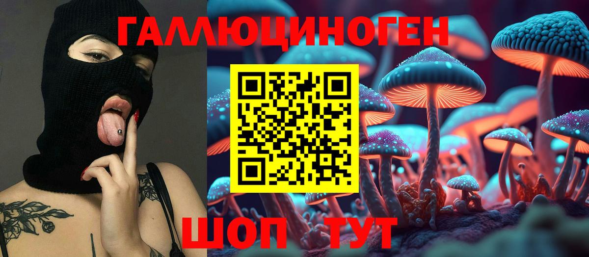 Галлюциногенные грибы Cubensis Белорецк