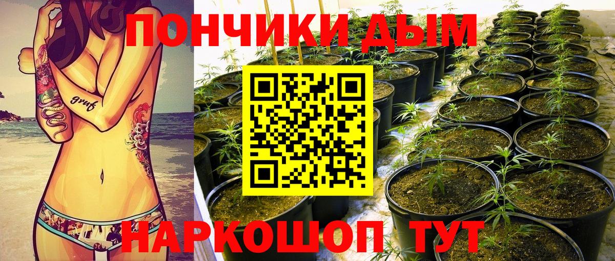 Бошки марихуана семена Белорецк